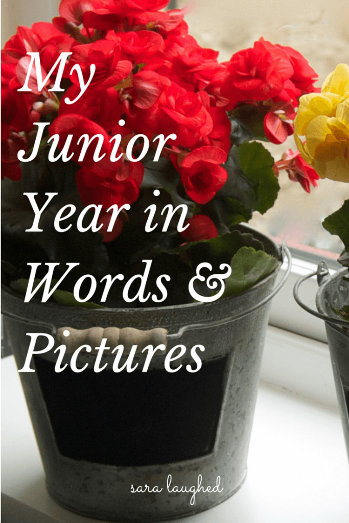 My Junior Year in Words and Pictures - Sara Laughed