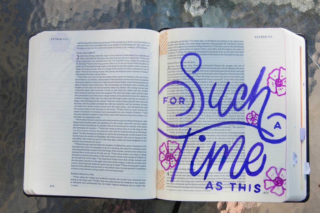 How to use transparent sheets in your journaling Bible! - Sara Laughed