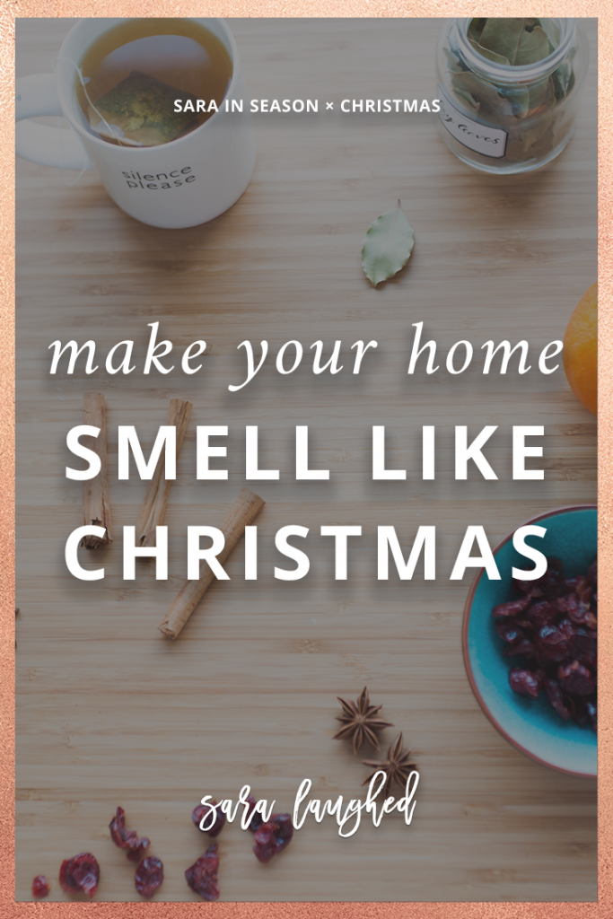 Make your home smell like Christmas with this easy stovetop recipe!
