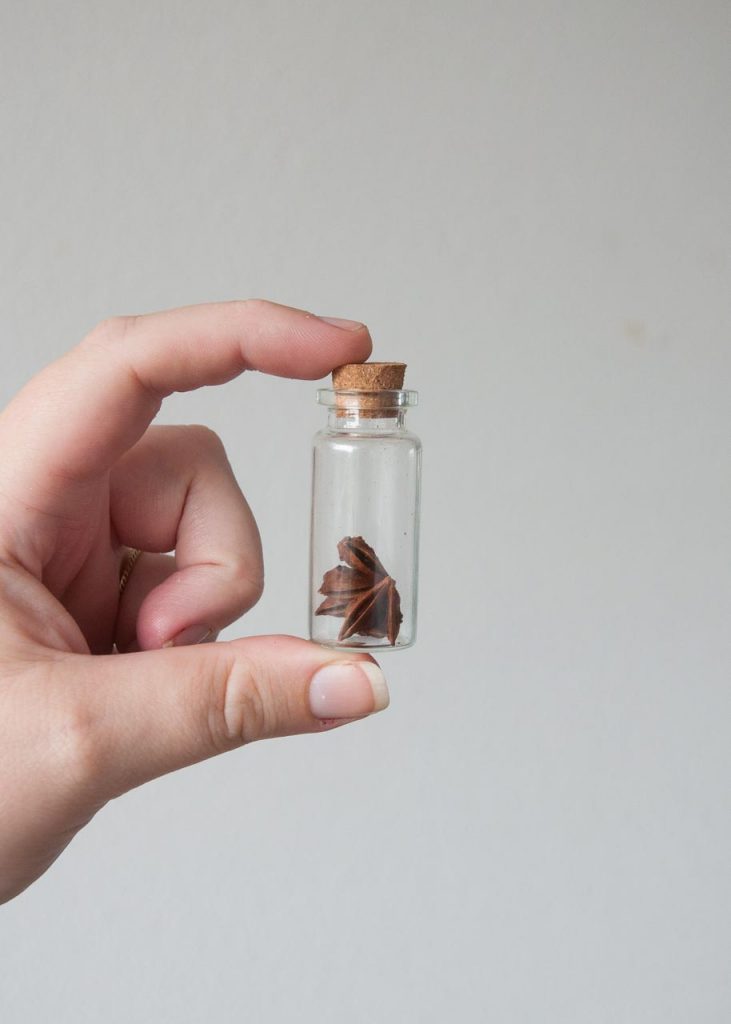 How to Make Apothecary Spice Jar Necklaces for Fall. A hand holding a jar of star anise.