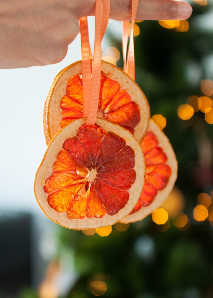 How to Make “Stained Glass” Dried Citrus Slice Ornaments • Sara Laughed