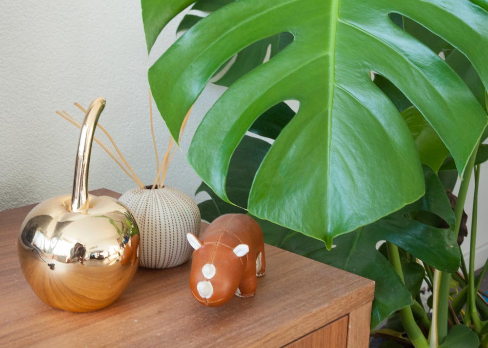 Pictures: a plant next to a few knick-knacks on a table.